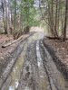 IMG_0042.jpeg