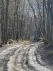 IMG_0036.jpeg
