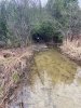 IMG_0046.jpeg
