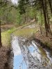 IMG_0048.jpeg